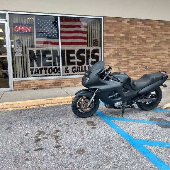 Meet your Posher, Codie - Picture 1 of 1